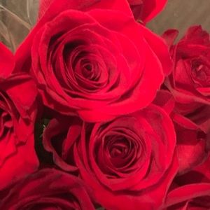 Meet your Posher, Natasha